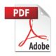 PDF Logo 2
